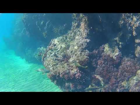 Snorkeling at Playa Chica, Puerto del Carmen, Lanzarote 08/11/2020