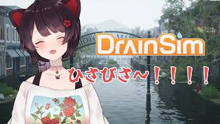 【DrainSim】おひさしぶりです、今日も掃除機！！！【戌亥とこ/にじさんじ】