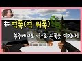 역폭(역위폭) 던지는 방법!