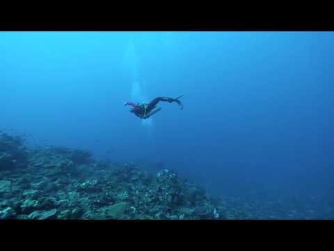 Don't Stop till you get enough - Alanah woods