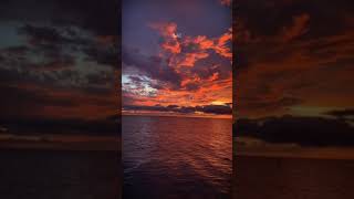 Don&#39;t you need somebody - RedOne ( Live Version )