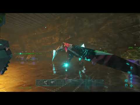 FSR | Fiber lockdown | Ark | Double bear cave | Center.