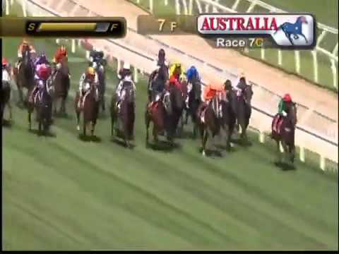 CF ORR STAKES 2016   Suavito