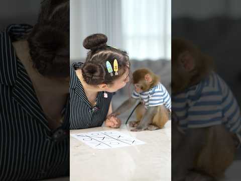 شفتوا فلوق جبت حيوان غريب 🫢 وفي مسابقة 500 دولار