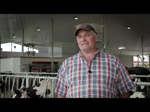 Lely Vector - Automatic feeding and robotic milking - Peter Ruijter - EN