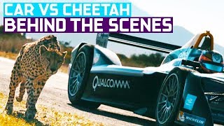 Download lagu Drag Race Formula E Car vs Cheetah... mp3