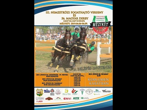 III. Nemzetközi Fogathajó Verseny - Mélykút 2019. június 9. - Akadályhajtás