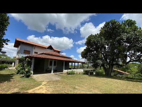 🏡 Chácara em Paudalho,Pe À VENDA—30 min de Recife | 7,5 Hectares | Casa Sede | Pasto | Reserva