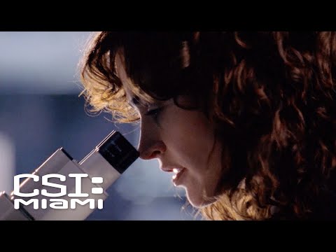 Prints on the Champagne Bottle Lead to Questioning