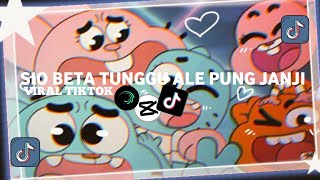 Download lagu SIO BETA TUNGGU ALE PUNG JANJI VIRAL TIKTOK (SLOWED & REVERB) 2024 mp3