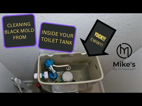 Cleaning Mold from your Toilet Tank