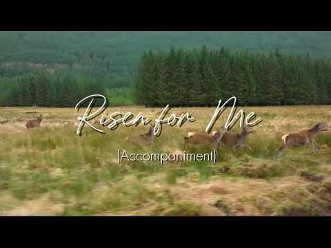 Risen for Me (Children's Easter Song) - Minus One