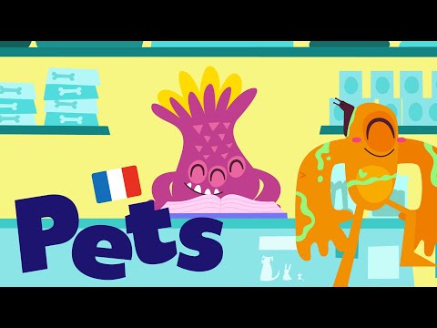 Pets in French: Les Animaux Familiers 🐹 | Blabber Beasts French for Kids