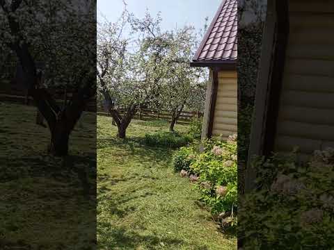 Купить дом, д. Верковщина, 25 (Браславский р-н, Витебская область)