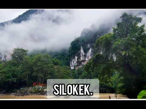 LAGU Kintani Feat Dharma-Salam Baroyo(pesona negeri)