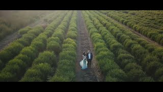 WedReviews חוות דעת והמלצות אמיתיות על sweet shira | אטרקציות WedReviews חוות דעת והמלצות אמיתיות על sweet shira | אטרקציות