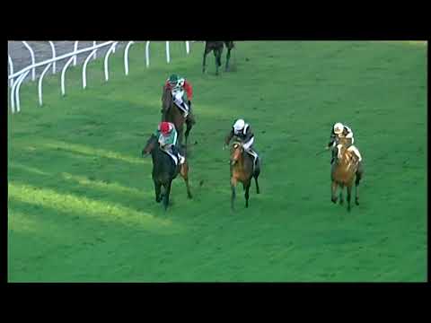 Napoli Galoppo 11/12/2021 - 4ª corsa