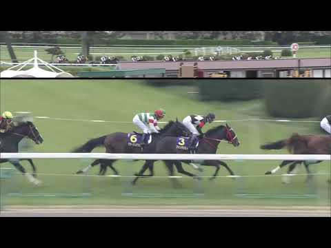 2019 Satsuki Sho (Japanese 2000 Guineas) (G1)