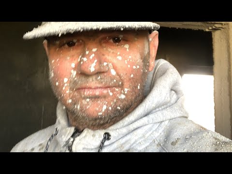 What is the correct order? Electrical, plumbing, heating, screed and plastering? Or…