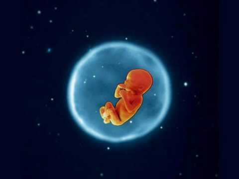 La Fuertezza - Fiesta Flamenka