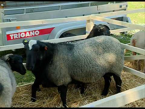 Sredstva za stočarstvo