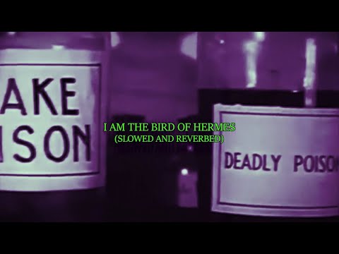 $carecrow - I Am The Bird of Hermes (Slowed and Reverbed) [Lyric Video]