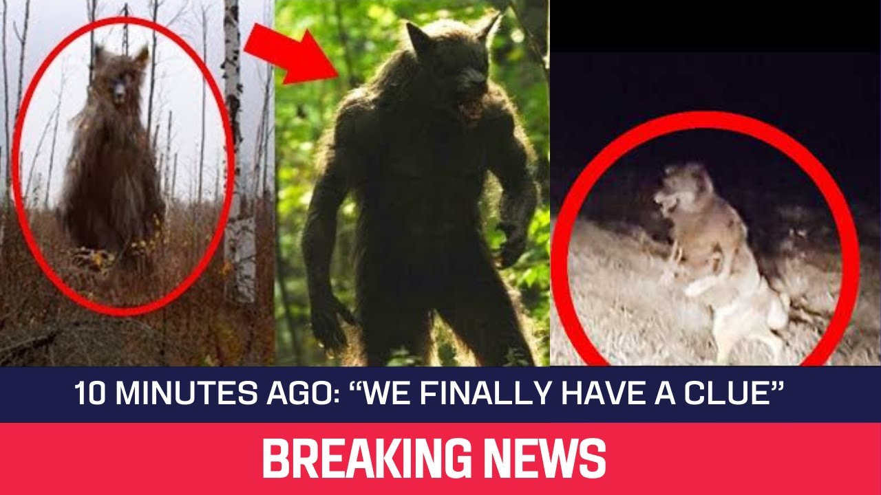 YouTube Thumbnail Downloader FULL HQ IMAGE