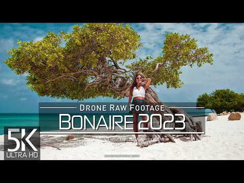 【5K】🇧🇶 Drone RAW Footage 🔥 This is BONAIRE & SABA 2023 🔥 Netherlands Antilles 🔥 UltraHD Stock Video