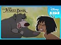 Baloo S Training Fun Jungle Book Disney Kids