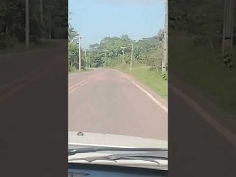 Estrada de Benjamin Constant para Atalaia do Norte. apenas 30 minutos!