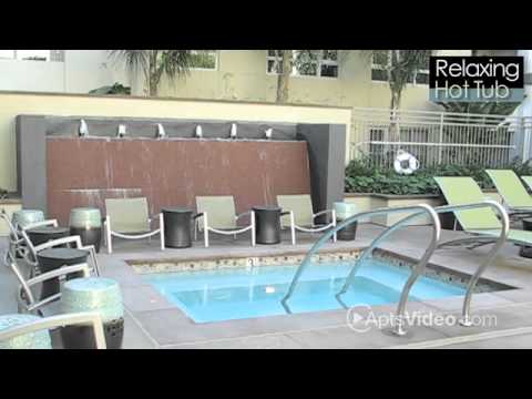 5550 Wilshire at Miracle Mile Apartments in Los Angeles, CA - ForRent.com