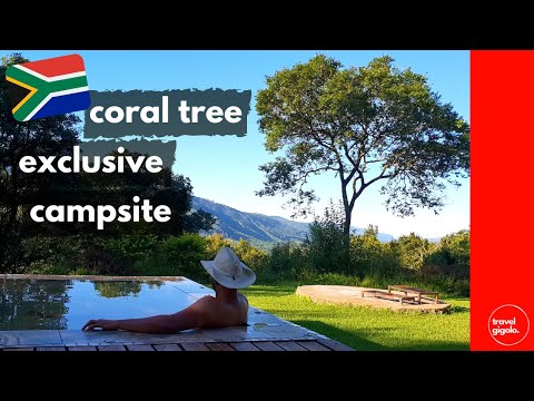 Campsite Review: Coral Tree Exclusive Camp, Magoebaskloof (Camping in Limpopo, South Africa)