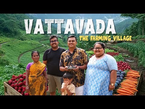 Vattavada | The Last Village of Kerala | Fruit Village | തമിഴ് സംസാരിക്കുന്ന കേരള ഗ്രാമം