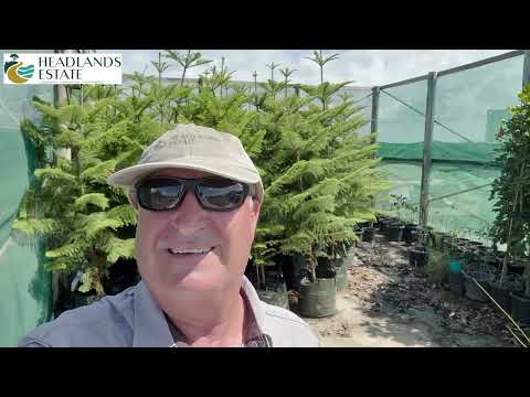 Headlands Update - March 2026