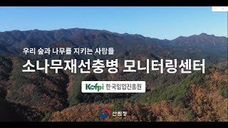 소나무재선충병모니터링센터 소개 및 홍보영상 #한국임업진흥원 #재선충병 #소나무