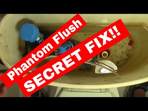 Toilet PHANTOM GHOST Flushing:  SECRET FIX! -- HINT:  NOT THE FLAPPER!