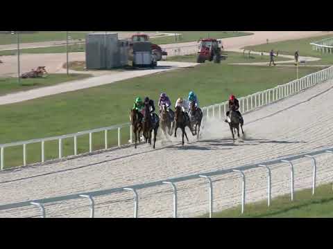 2022.10.16. 02. futam - LORD DERBY EMLÉKVERSENY HENDIKEP (V.o.) (szintetikus pálya)