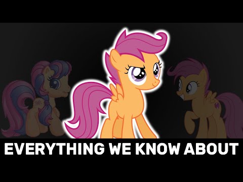 Everything We Know About Scootaloo