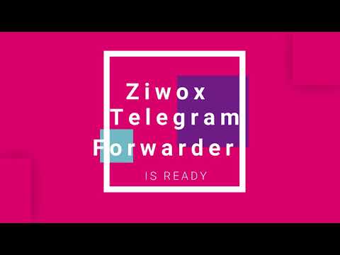 Video Telegram Signal pro