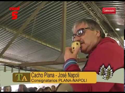 PLANA   NAPOLI     REMATEmp4