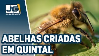 Miniatura do vídeo