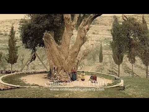 Irfan Online Political Party