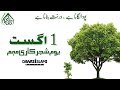 1 Aug Tree Plantation Project By FGRF Dawateislami Green Pakistan Faisal Shehzad
