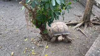 [理查看世界]宜蘭冬山河