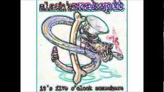Slash&#39;s Snakepit - What Do You Wanna Be