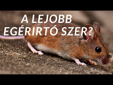 nemazol paraziták ellen