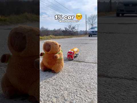 WAIT… last one is crazy 🤬😱 #capybara #funny #cuteanimals