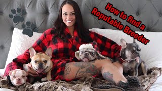 How to tell if a breeder is reputable!