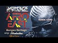 HARMONIZE FT MORGAN HERITAGE - MALAIKA ( VIDEO LYRICS )