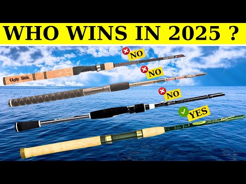 Top 5 Best Fishing Rod 2025